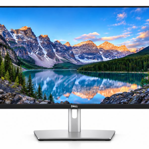 Dell P2422H 24 Inch IPS Frameless Monitor